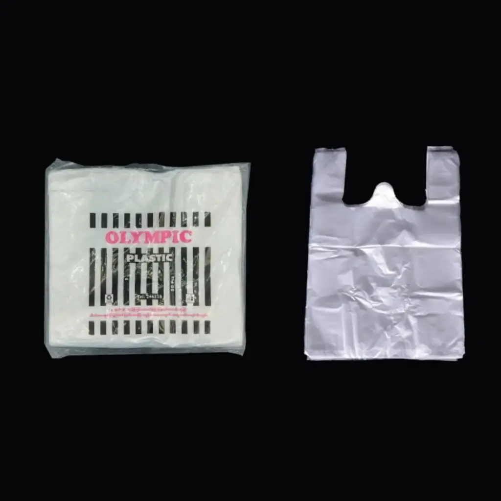 Packing Bag : 12 x 20